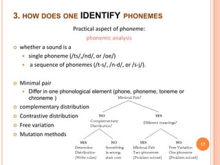 3. HOW DOES ONE IDENTIFY PHONEMES
                         Practical aspect of phoneme:
                              phonemic analysis
   whether a sound is a
      single phoneme (/ts/,/nd/, or /oe/)
      a sequence of phonemes (/t-s/, /n-d/, or /s-j/).


   Minimal pair
       Differ in one phonological element (phone, phoneme, toneme or
        chroneme )
   complementary distribution
   Contrastive distribution
   Free variation
   Mutation methods
                                                                        17
 