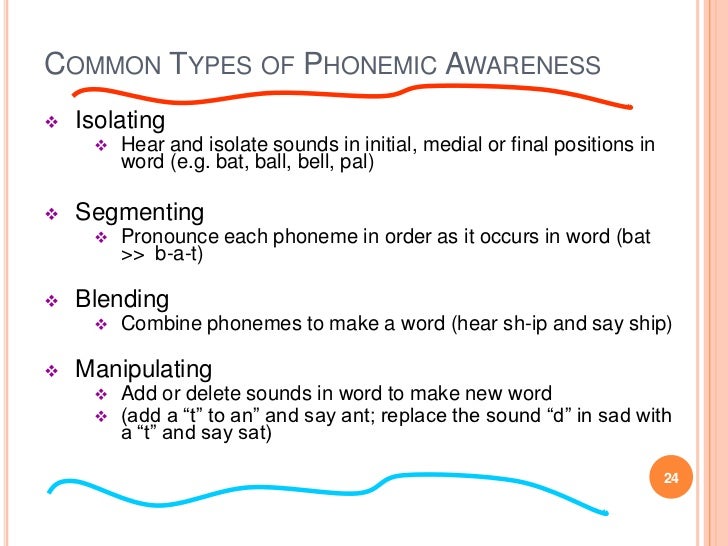 phoneme my intro phonological rules