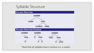 Syllable Structure
*Note that all syllables have a nucleus (i.e. a vowel)
 