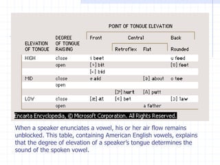 Phonetic and Phonology