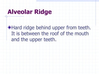 Phonetic and Phonology with images | PPTX