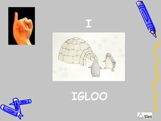 I
IGLOO
 