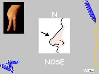 N
NOSE
 
