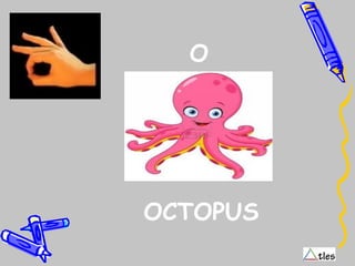 O
OCTOPUS
 