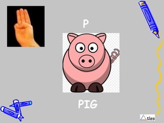 P
PIG
 