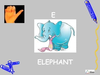 E
ELEPHANT
 