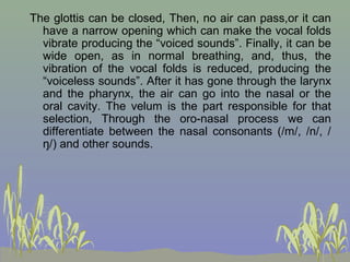 The glottis can be closed, Then, no air can pass,or it can
have a narrow opening which can make the vocal folds
vibrate producing the “voiced sounds”. Finally, it can be
wide open, as in normal breathing, and, thus, the
vibration of the vocal folds is reduced, producing the
“voiceless sounds”. After it has gone through the larynx
and the pharynx, the air can go into the nasal or the
oral cavity. The velum is the part responsible for that
selection, Through the oro-nasal process we can
differentiate between the nasal consonants (/m/, /n/, /
ŋ/) and other sounds.

 