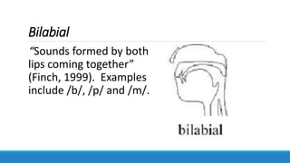 Bilabial
“Sounds formed by both
lips coming together”
(Finch, 1999). Examples
include /b/, /p/ and /m/.
 