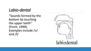 Labio-dental
“Sounds formed by the
bottom lip touching
the upper teeth”
(Finch, 1999).
Examples include /v/
and /f/
 