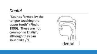 Dental
“Sounds formed by the
tongue touching the
upper teeth” (Finch,
1999). These are not
common in English,
although they can
sound like /t/.
 
