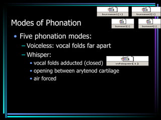 Modes of Phonation Five phonation modes: Voiceless: vocal folds far apart Whisper:  vocal folds adducted (closed)  opening between arytenod cartilage air forced 