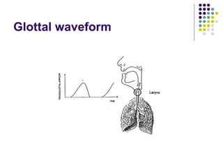 Glottal waveform 