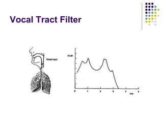 Vocal Tract Filter 