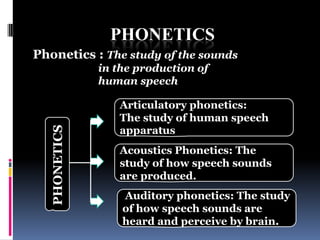 PHONETICS
Phonetics : The study of the sounds
               in the production of
               human speech

                  Articulatory phonetics:
                  The study of human speech
                  apparatus
   PHONETICS




                  Acoustics Phonetics: The
                  study of how speech sounds
                  are produced.
                   Auditory phonetics: The study
                   of how speech sounds are
                   heard and perceive by brain.
 