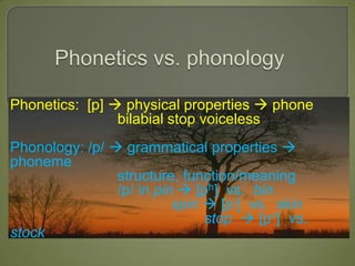Phonetics: [p]  physical properties  phone
                bilabial stop voiceless
Phonology: /p/  grammatical properties 
phoneme
                structure, function/meaning
                /p/ in pin  [ph] vs. bin
                          spin  [p-] vs. skin
                               stop  [pv] vs.
stock
 