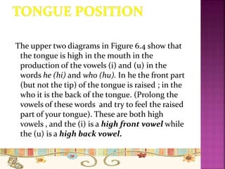 The upper two diagrams in Figure 6.4 show that
the tongue is high in the mouth in the
production of the vowels (i) and (u) in the
words he (hi) and who (hu). In he the front part
(but not the tip) of the tongue is raised ; in the
who it is the back of the tongue. (Prolong the
vowels of these words and try to feel the raised
part of your tongue). These are both high
vowels , and the (i) is a high front vowel while
the (u) is a high back vowel.
 