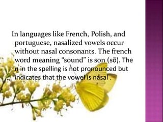 In languages like French, Polish, and
portuguese, nasalized vowels occur
without nasal consonants. The french
word meaning “sound” is son (sõ). The
n in the spelling is not pronounced but
indicates that the vowel is nasal .
 