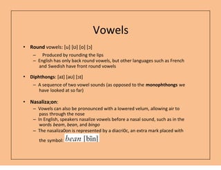 Phonetics | PDF