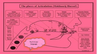 Try it in our
language
 