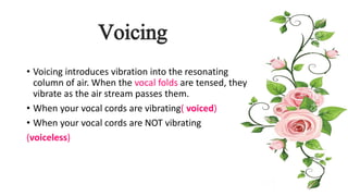Voicing
• Voicing introduces vibration into the resonating
column of air. When the vocal folds are tensed, they
vibrate as the air stream passes them.
• When your vocal cords are vibrating( voiced)
• When your vocal cords are NOT vibrating
(voiceless)
 