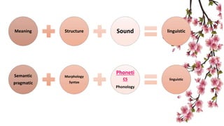 Meaning Structure Sound linguistic
Semantic
pragmatic
Morphology
Syntax
Phoneti
cs
Phonology
linguistic
 