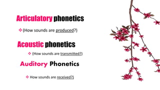 Articulatory phonetics
(How sounds are produced?)
Acoustic phonetics
 (How sounds are transmitted?)
Auditory Phonetics
 How sounds are received?)
 