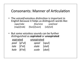 Consonants:	
  Manner	
  of	
  Ar0cula0on	
  
•  The	
  voiced/voiceless	
  dis0nc0on	
  is	
  important	
  in	
  
English	
  because	
  it	
  helps	
  us	
  dis0nguish	
  words	
  like:	
  
	
  rope/robe 	
  	
  	
  	
  	
  	
  	
  	
  	
  	
  	
  	
  	
  	
  	
  ﬁne/vine 	
  	
  	
   	
  seal/zeal	
  
	
  [rop]/[rob] 	
  	
  	
  	
  	
  [faɪn]/[vaɪn]	
  	
  	
  	
   	
  [sil]/[zil]	
  
•  But	
  some	
  voiceless	
  sounds	
  can	
  be	
  further	
  
dis0nguished	
  as	
  aspirated	
  or	
  unaspirated	
  
	
  	
  aspirated	
   	
   	
  unaspirated	
  
	
  	
  pool 	
  [phul]	
  	
  	
  	
  	
  	
  	
   	
  spool 	
  	
  	
  	
  [spul]	
  
	
  	
  tale 	
  [thel] 	
   	
  	
  	
  	
  	
  	
  	
  stale 	
  	
  	
  	
  [stel]	
  
	
  	
  kale 	
  [khel] 	
  	
  	
  	
  	
  	
  	
   	
  scale 	
  	
  	
  	
  [skel]	
  
 