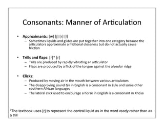 Consonants:	
  Manner	
  of	
  Ar0cula0on	
  
•  Approximants:	
  [w]	
  [j]	
  [r]	
  [l]	
  
–  Some0mes	
  liquids	
  and	
  glides	
  are	
  put	
  together	
  into	
  one	
  category	
  because	
  the	
  
ar0culators	
  approximate	
  a	
  fric0onal	
  closeness	
  but	
  do	
  not	
  actually	
  cause	
  
fric0on	
  
•  Trills	
  and	
  ﬂaps:	
  [r]*	
  [ɾ]	
  
–  Trills	
  are	
  produced	
  by	
  rapidly	
  vibra0ng	
  an	
  ar0culator	
  
–  Flaps	
  are	
  produced	
  by	
  a	
  ﬂick	
  of	
  the	
  tongue	
  against	
  the	
  alveolar	
  ridge	
  
•  Clicks:	
  
–  Produced	
  by	
  moving	
  air	
  in	
  the	
  mouth	
  between	
  various	
  ar0culators	
  
–  The	
  disapproving	
  sound	
  tsk	
  in	
  English	
  is	
  a	
  consonant	
  in	
  Zulu	
  and	
  some	
  other	
  
southern	
  African	
  languages	
  
–  The	
  lateral	
  click	
  used	
  to	
  encourage	
  a	
  horse	
  in	
  English	
  is	
  a	
  consonant	
  in	
  Xhosa	
  
*The textbook uses [r] to represent the central liquid as in the word ready rather than as
a trill
 