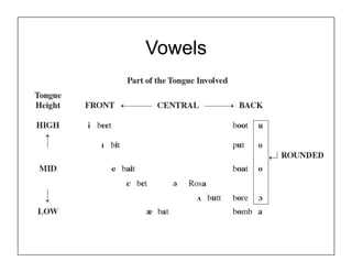 Vowels
 