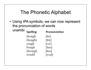 The Phonetic Alphabet
•  Using IPA symbols, we can now represent
the pronunciation of words
unambiguously:
 
