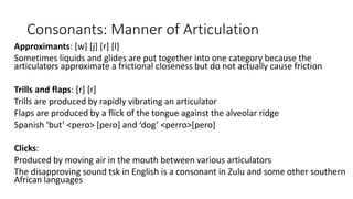 Phonetics | PPTX