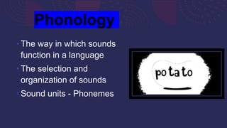 Phonetics - An Introduction