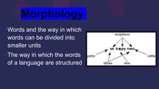Phonetics - An Introduction