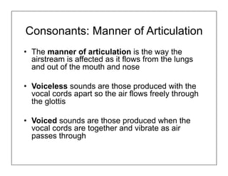 Consonants: Manner of Articulation
• The manner of articulation is the way the
airstream is affected as it flows from the lungs
and out of the mouth and nose
• Voiceless sounds are those produced with the
vocal cords apart so the air flows freely through
the glottis
• Voiced sounds are those produced when the
vocal cords are together and vibrate as air
passes through
 