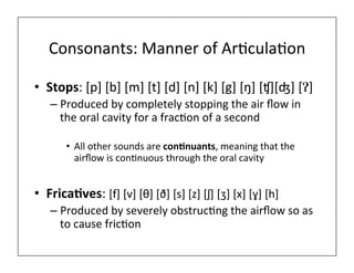 Consonants:	
  Manner	
  of	
  Ar0cula0on	
  
• Stops:	
  [p]	
  [b]	
  [m]	
  [t]	
  [d]	
  [n]	
  [k]	
  [g]	
  [ŋ]	
  [ʧ][ʤ]	
  [Ɂ]	
  
– Produced	
  by	
  completely	
  stopping	
  the	
  air	
  ﬂow	
  in	
  
the	
  oral	
  cavity	
  for	
  a	
  frac0on	
  of	
  a	
  second	
  
• All	
  other	
  sounds	
  are	
  con;nuants,	
  meaning	
  that	
  the	
  
airﬂow	
  is	
  con0nuous	
  through	
  the	
  oral	
  cavity	
  
• Frica;ves:	
  [f]	
  [v]	
  [θ]	
  [ð]	
  [s]	
  [z]	
  [ʃ]	
  [ʒ]	
  [x]	
  [ɣ]	
  [h]	
  
– Produced	
  by	
  severely	
  obstruc0ng	
  the	
  airﬂow	
  so	
  as	
  
to	
  cause	
  fric0on	
  
 