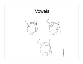 Vowels
©
Cengage
Learning
 