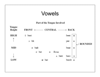 Vowels
 
