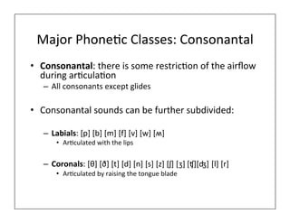 Major	
  Phone0c	
  Classes:	
  Consonantal	
  
• Consonantal:	
  there	
  is	
  some	
  restric0on	
  of	
  the	
  airﬂow	
  
during	
  ar0cula0on	
  
– All	
  consonants	
  except	
  glides	
  
• Consonantal	
  sounds	
  can	
  be	
  further	
  subdivided:	
  
– Labials:	
  [p]	
  [b]	
  [m]	
  [f]	
  [v]	
  [w]	
  [ʍ]	
  
• Ar0culated	
  with	
  the	
  lips	
  
– Coronals:	
  [θ]	
  [ð]	
  [t]	
  [d]	
  [n]	
  [s]	
  [z]	
  [ʃ]	
  [ʒ]	
  [ʧ][ʤ]	
  [l]	
  [r]	
  
• Ar0culated	
  by	
  raising	
  the	
  tongue	
  blade	
  
 