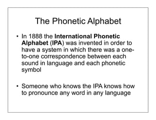The Phonetic Alphabet
• In 1888 the International Phonetic
Alphabet (IPA) was invented in order to
have a system in which there was a one-
to-one correspondence between each
sound in language and each phonetic
symbol
• Someone who knows the IPA knows how
to pronounce any word in any language
 
