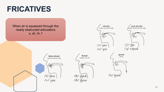 FRICATIVES
11
When air is squeezed through the
nearly obstructed articulators
s, sh, th, f
 