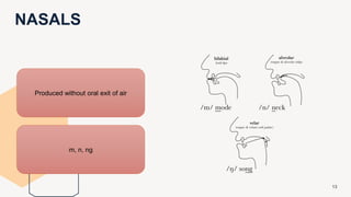 NASALS
13
m, n, ng
Produced without oral exit of air
 