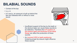 BILABIAL SOUNDS
16
• Contact of the lips
• b, p, m
• In b and p, air pressure is built up behind the
lips and released with or without a voice
sound
• Insufficient support of the lips by the teeth or
the denture base can cause these sounds to
be defective. Therefore the A-P position of
the anterior teeth and thickness of the labial
flange can affect the production of these
sounds.
• An incorrect VDO or teeth positioning
hindering proper lip closure might influence
these sounds
 
