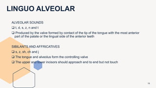 LINGUO ALVEOLAR
19
ALVEOLAR SOUNDS
 t, d, s, z, n and t
 Produced by the valve formed by contact of the tip of the tongue with the most anterior
part of the palate or the lingual side of the anterior teeth
SIBILANTS AND AFFRICATIVES
 s, z, sh, ch and j
 The tongue and alveolus form the controlling valve
 The upper and lower incisors should approach end to end but not touch
 