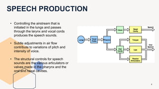 SPEECH PRODUCTION
4
• Controlling the airstream that is
initiated in the lungs and passes
through the larynx and vocal cords
produces the speech sounds.
• Subtle adjustments in air flow
contribute to variations of pitch and
intensity of voice.
• The structural controls for speech
sounds are the various articulators or
valves made in the pharynx and the
oral and nasal cavities.
 