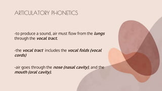 -to produce a sound, air must flow from the lungs
through the vocal tract.
-the vocal tract includes the vocal folds (vocal
cords)
-air goes through the nose (nasal cavity), and the
mouth (oral cavity).
ARTICULATORY PHONETICS
 