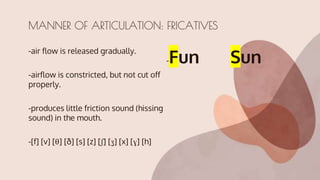 -air flow is released gradually.
-airflow is constricted, but not cut off
properly.
-produces little friction sound (hissing
sound) in the mouth.
-[f] [v] [θ] [ð] [s] [z] [ʃ] [ʒ] [x] [ɣ] [h]
-Fun Sun
MANNER OF ARTICULATION: FRICATIVES
 