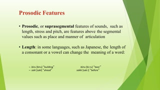 Phonetics.pptx