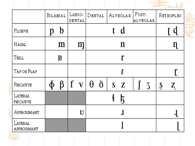 Phonetics And Phonology