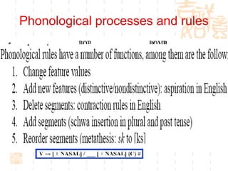Phonological processes and rules Phonemic representation will become phonetic form in order for it to be articulated.  This process is rule-governed.  /p/ becomes [p h ] when it follows the voicess alveolar fricative [s] A  B/X___Y, where  A: underlying phonemic representation B: phonetic form X, Y: conditioning environment ___ : the position of the segment undergoing the rule : becomes  