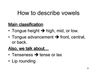 Tongue Rounding phonetics-midterm-review.ppt which is great for phonological awareness ...